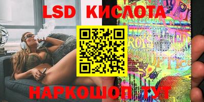 шишки Будённовск