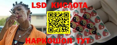 шишки Будённовск