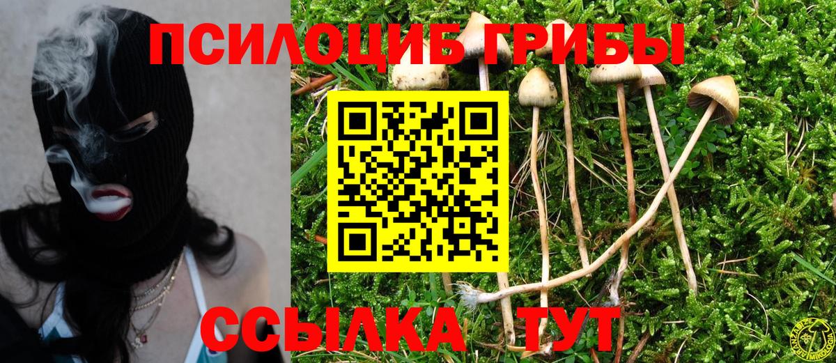 Галлюциногенные грибы Psilocybine cubensis Лосино-Петровский